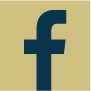 Gold and blue Facebook social media icon