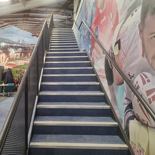 Blue-carpeted stairs with metal railing and sports-themed wall murals on the right side.